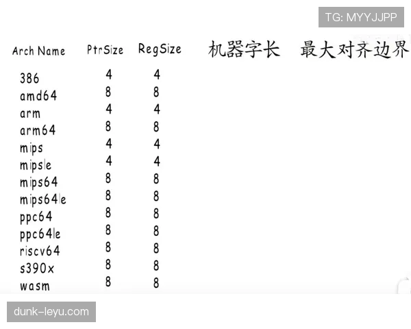 深入解析八秒违例规则的定义与判定标准